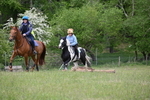 WJ6_1777