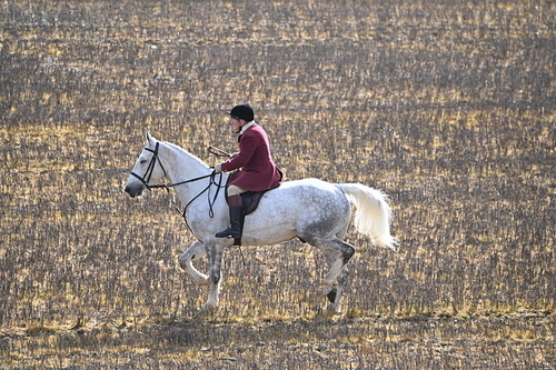 WJ6_8599