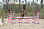BPP_1195