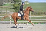 BPP_2848