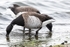 180307-Wirral0149