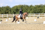SBM_015982