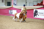 SBM_00428