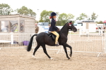 SBM_04190