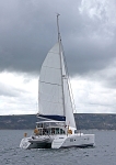 090607 SONGBIRD IMG_9088