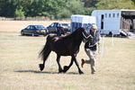 WJ6_4659