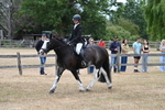 WJ7_7110