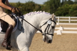 SBM_006914