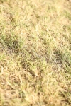 SBM_19765