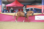SBM_09639