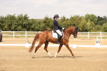 SBM_001403
