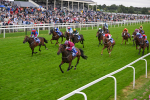210824-Race 5-Extensio-5413