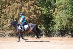 WJ6_8506