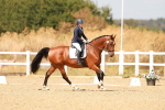SBM_018575