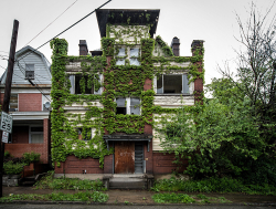 Abandoned Western Pennsylvania House | Ivy Scars