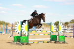 SBM_007593