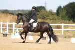 SBM_008562