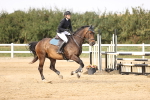 SBM_03687