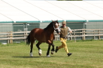 SBM_02241