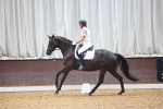 SBM_021919