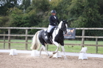 Class 3 - Novice 4 portfolio