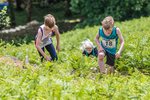 Coniston Juniors-12