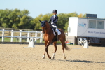 SBM_001763