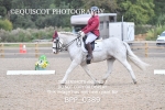 BPP_0389