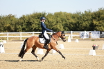 SBM_016955