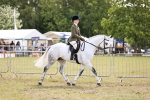 SBM_14508