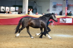 SBM_18494