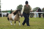 DSC04606