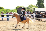 SBM_006690