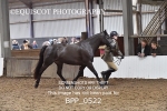 BPP_0522