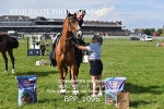 BPP_1096