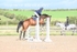 BPP_3544