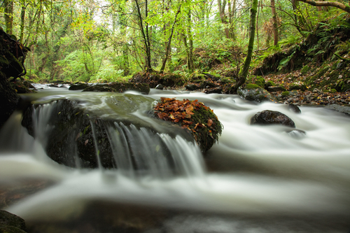 'Smooth runs the water where the brook is deep' - Shakespeare. It was deep too - but it was so dark that there was no…