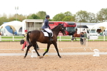 SBM_00919