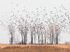 BLACKBIRD MIGRATION #1 - LONG POINT