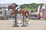 BPP_2078