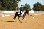 SBM_16381