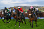 241025-Race 7-The Newest One-5855