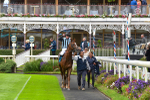 230923-Race 2-Palamon-6083