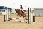 SBM_007527