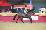 SBM_09635