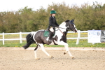 SBM_002954