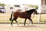 SBM_15365