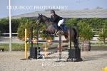 BPP_0194