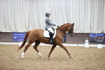 SBM_019612