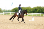 SBM_006630